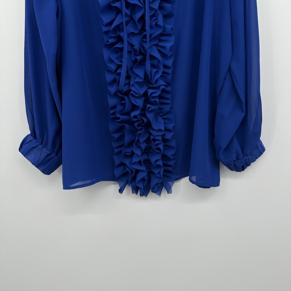 Abby Z Top Shirt Blouse Size 2X Sheer Ruffle Embroidered Coquette Elegant Glam - Picture 6 of 14